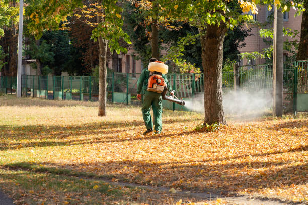 Best Emergency Pest Control  in Kinston, NC